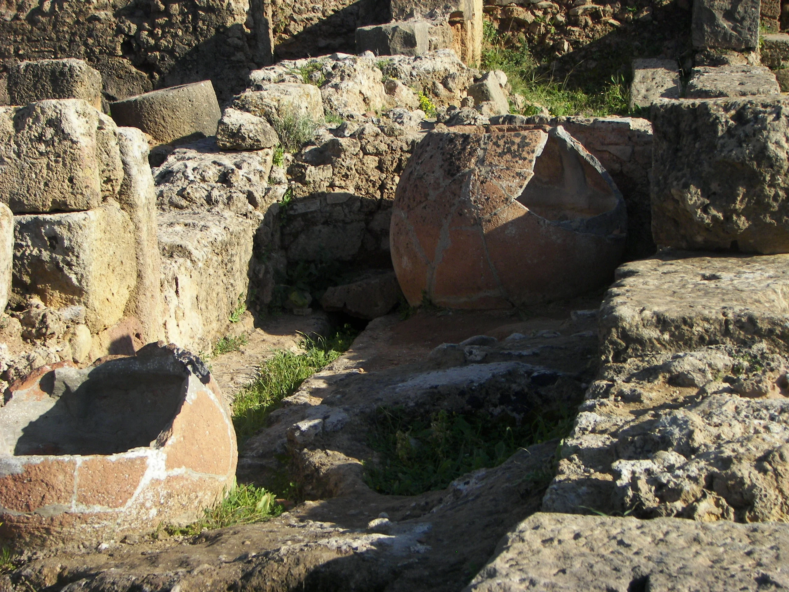 Site archéologique de Tipaza, Algérie — week-end en voiture depuis Alger